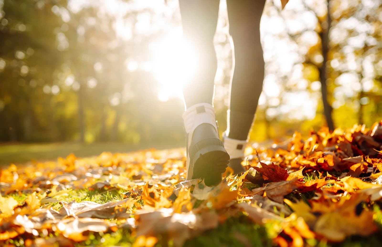 Discover Tanjung Bungah