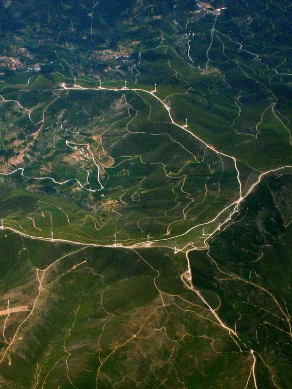 International School